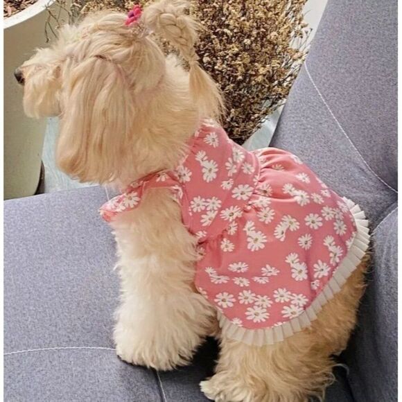 Daisy Breathable Pink Dog Cat XS‎ Pet Dress NWOT - Picture 1 of 4
